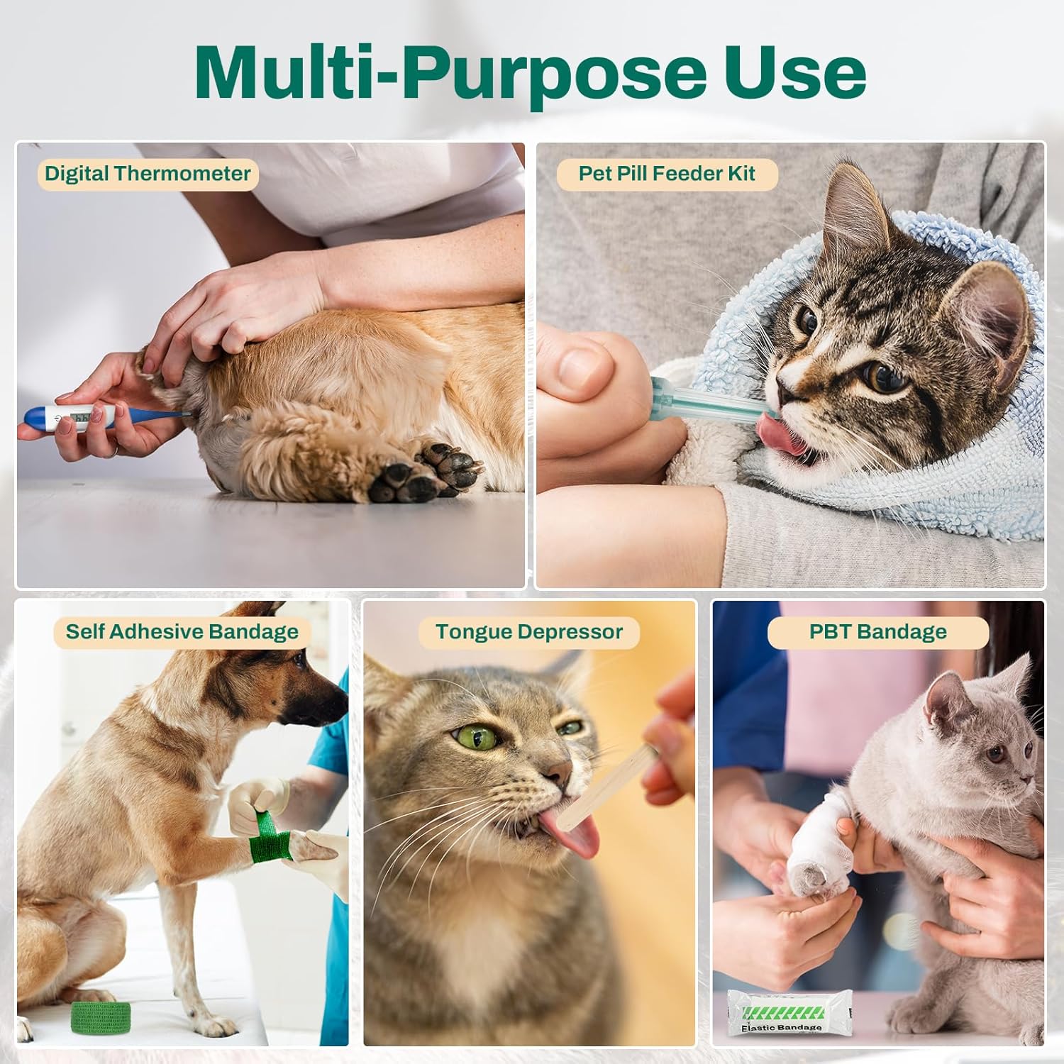 RHINO RESCUE Pet First Aid Kit, Emergency Medical Supplies for Dogs & Cats, Safety Essentials Pack with Thermometer, Disposable Booties for Home, Hiking, Traveling & Camping - Image 6