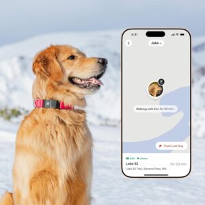 New Fi Series 3+ Smart Dog Tracker Collar – AI GPS for Dogs, Health ...