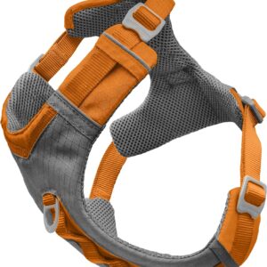 Kurgo Journey Air Dog Harness, Vest Harnesses for Dogs, Pet Hiking Harness for Running & Walking, Reflective, Padded, Includes Control Handle, No Pull Front Clip (Orange, Large)