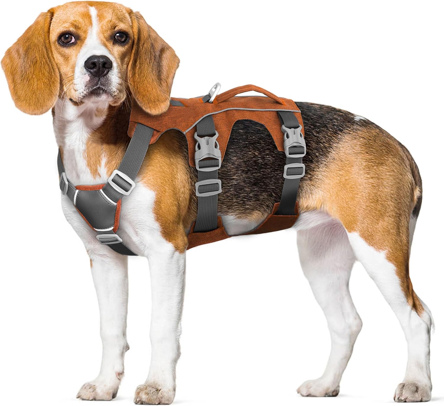Escape Proof Dog Harness with Handle - Reflective Dog Vest,Lightweight Full Body Pet Harness Adjustable for Small Medium Dogs Walking,Training(Orange,Chest:16-27") - Image 6
