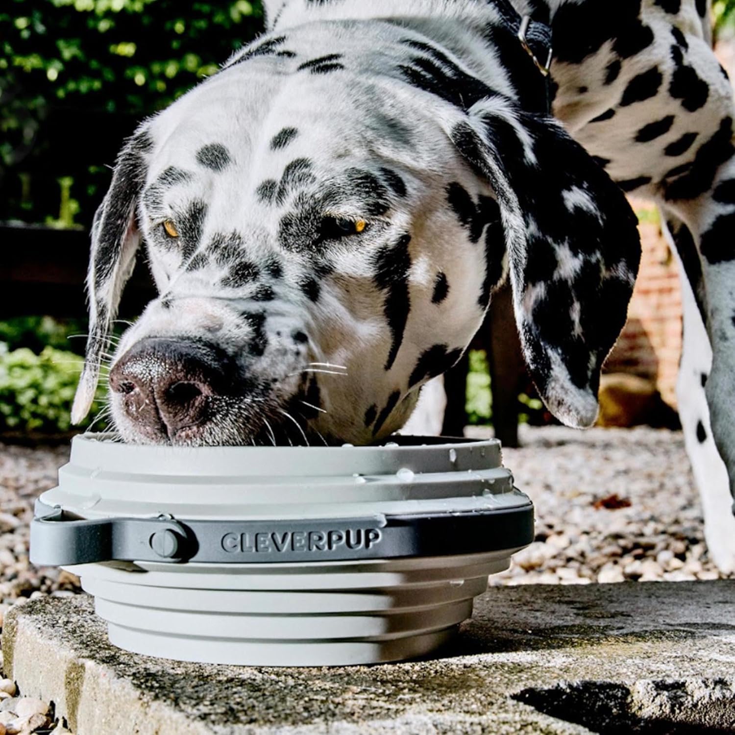 Nomad Large Collapsible Dog Bowl - 4 Cup Food-Safe Silicone Travel Bowl for Dogs, Portable & Sturdy, Food/Water, Dishwasher Safe - Grey - Image 3