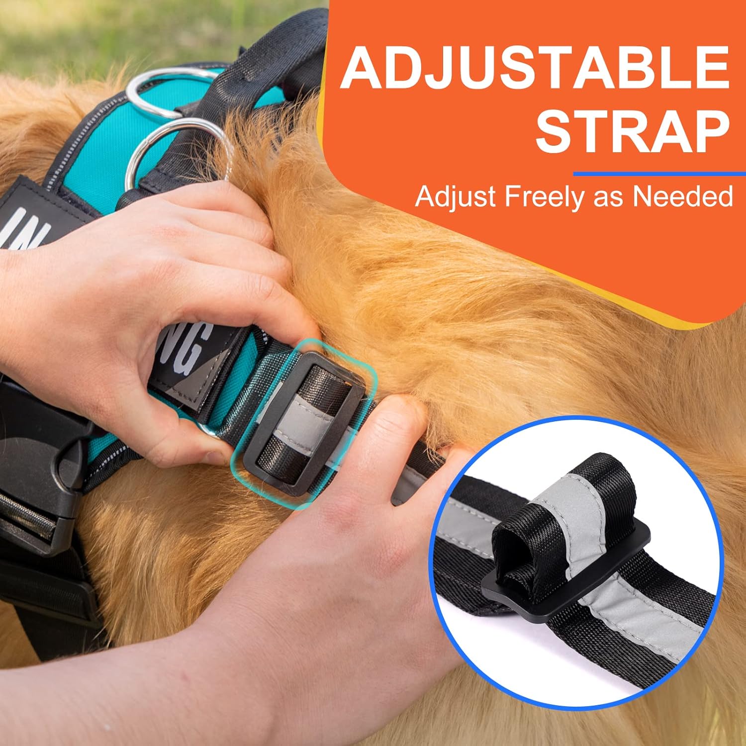 Essential Dog Harness, No Pull Pet Harness with 3 Side Rings for Leash Placement, No Choke, Reflective, Adjustable Pet Vest, Easy On-Off & Improved Control Handle, Training, Walking, Running - Image 5