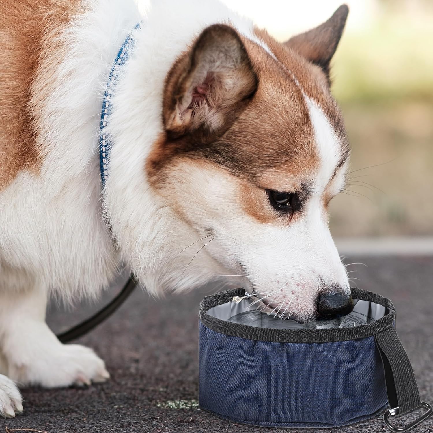 2 Pack Collapsible Dog Travel Bowl, Foldable Travel Dog Dish Waterproof Oxford Cloth TravelDog-Water Bowls Portable Pet Dish No Spill, Pet Hiking Accessories for Small and Large Pets(Dark Blue,40 Oz) - Image 6