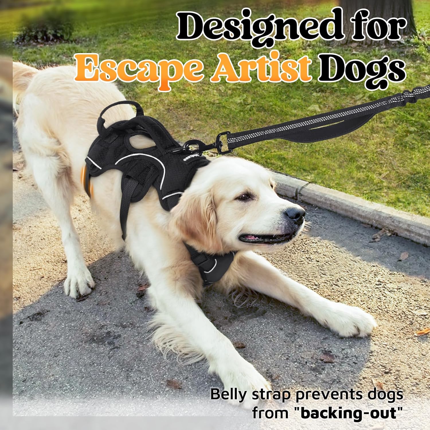rabbitgoo Escape Proof Dog Harness, Soft Padded Full Body Pet Harness, Reflective Adjustable No Pull Vest with Lift Handle and Leash Clip for Large Dogs Walking Hiking Training, L, Black - Image 2