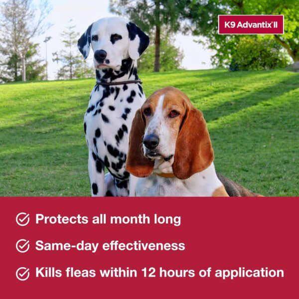 K9 Advantix II Large Dog Vet-Recommended Flea, Tick & Mosquito Treatment & Prevention | Dogs 21-55 lbs. | 2-Mo Supply (Packaging may vary) - Image 4
