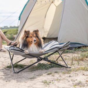 TRIXIE Camping Cot for Dogs, Elevated Dog Bed, Folding Padded Pet Bed, Raised Travel Lounger for Small to Medium Dogs