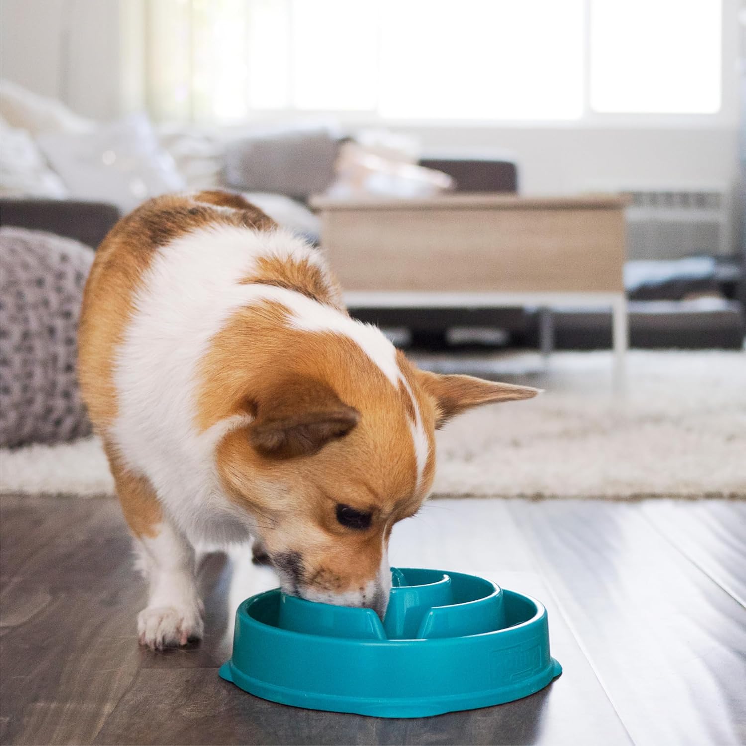 Outward Hound Fun Feeder Slo Bowl, Medium Slow Feeder Dog Bowl, 2 Cups, Turquoise - Image 6