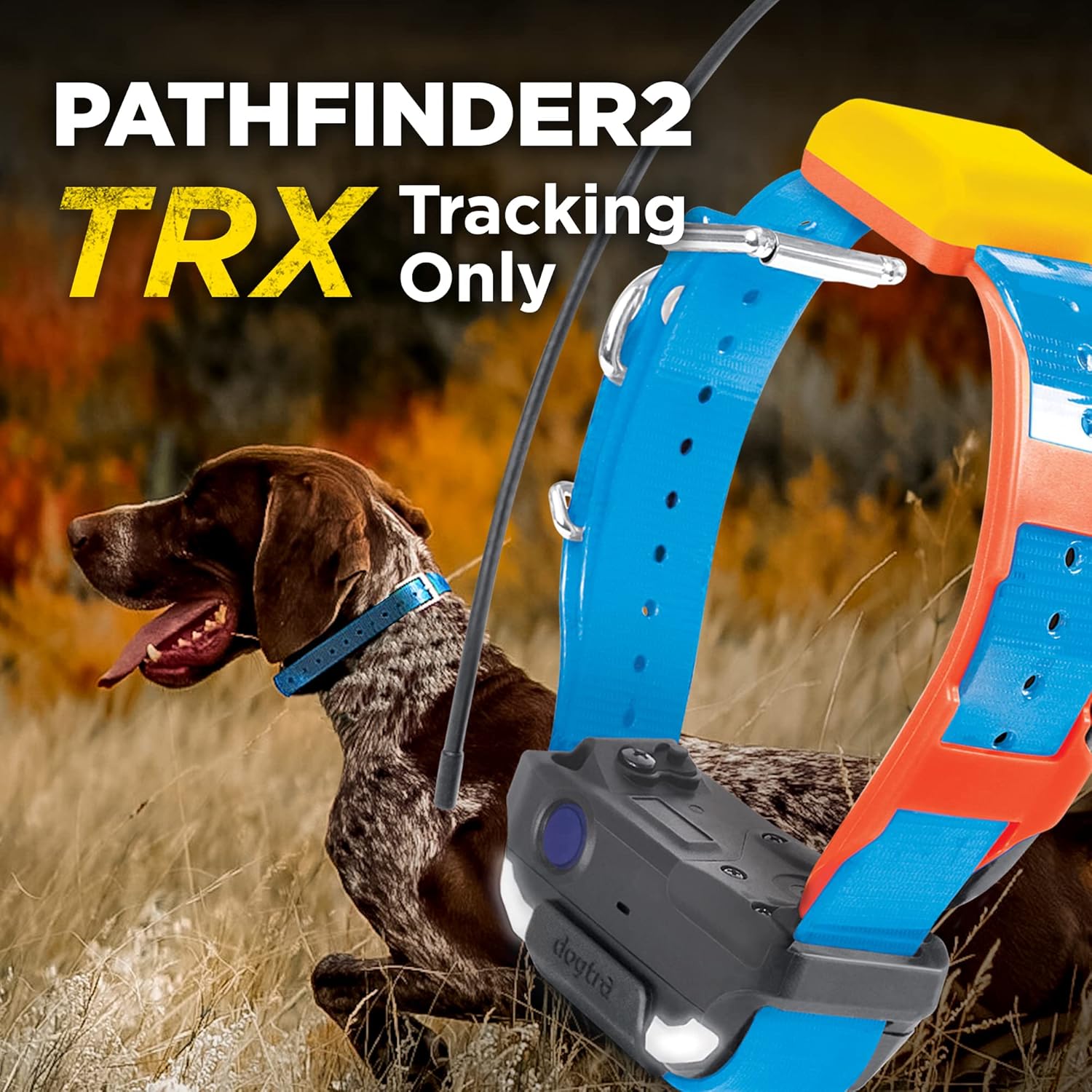 Dogtra Pathfinder 2 TRX Additional Receiver Only Dog GPS Tracker LED Light Blue Collar SmartWatch Compatible Rechargeable Waterproof Free Offline Maps No Monthly Subscription Fee Smartphone Required - Image 6