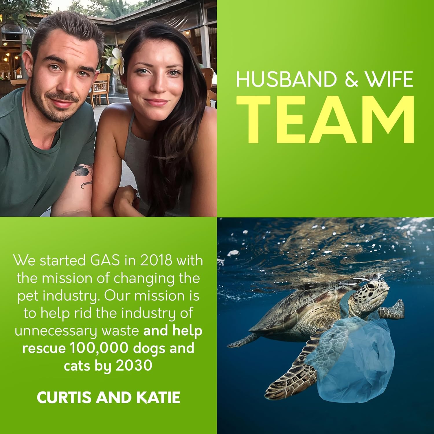 Lick-Safe Pet Wipes for Dogs & Cats - Vet-Approved & Hypoallergenic - Cleans Mud, Odors & Dander - Feline & Dog Wipes for Paws, Face & Butt - Earth-Friendly & Unscented Cat Cleaning - Pack of 100 - Image 8