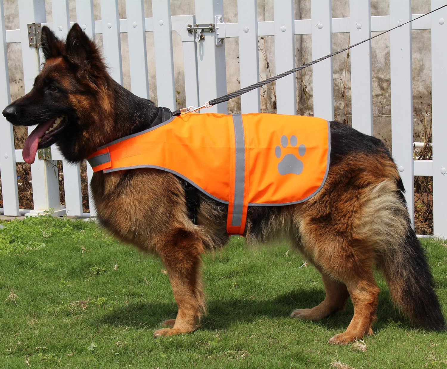 Dog Reflective Vest High Visibility Safety Jacket for Walking Running Hiking to Keep Dogs Visible Safe from Cars and Hunting Accidents Orange L - Image 5