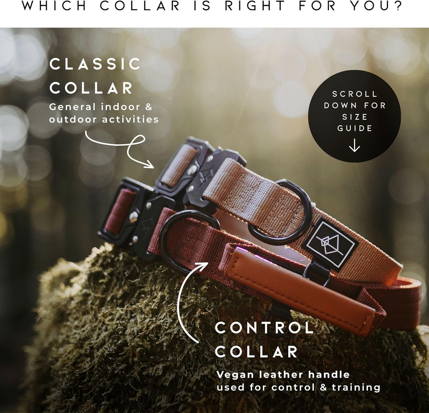 Made to ROAM Premium Dog Collar - Adjustable Heavy Duty Nylon Collar with Quick-Release Metal Buckle (Maine Marina, Classic Size 3) - Image 6