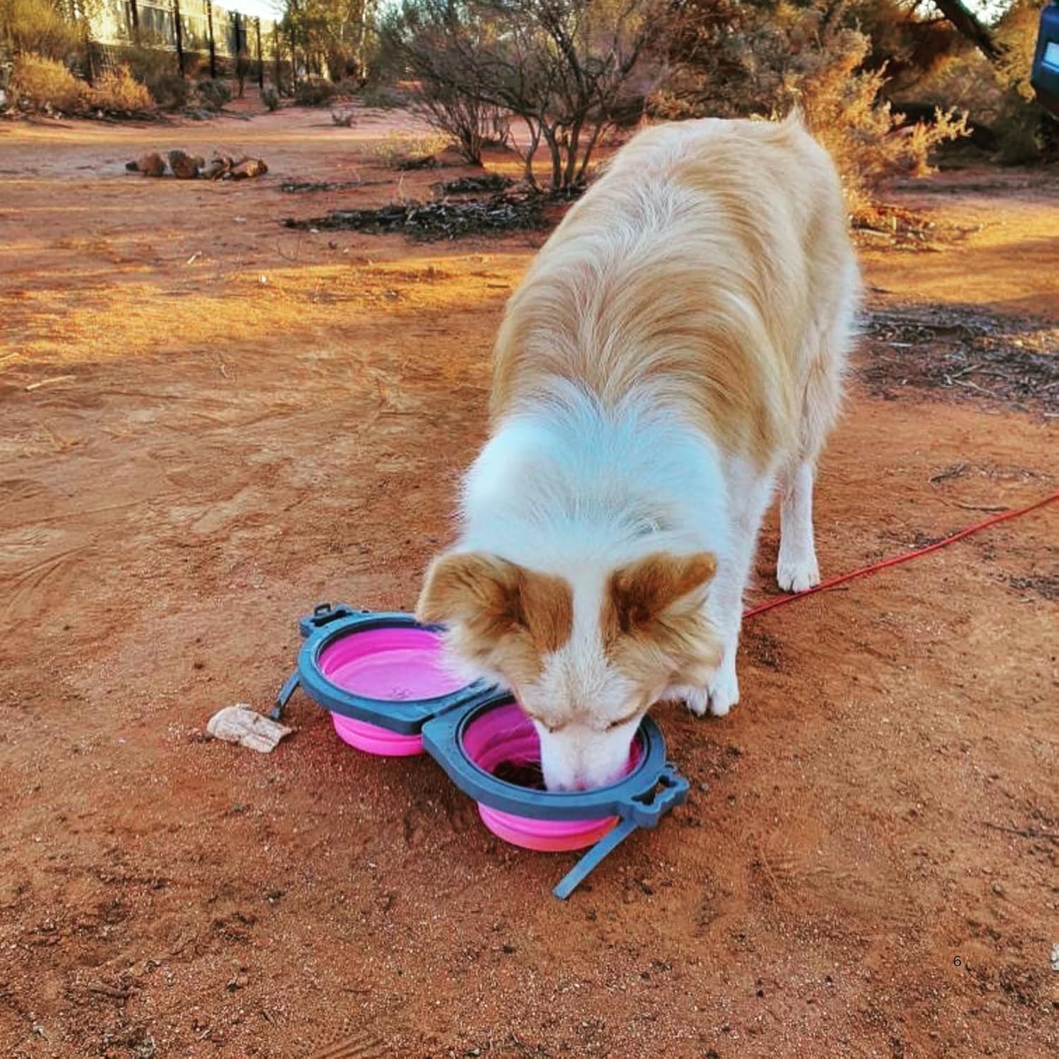 Loving Pets Bella Roma Double Diner Collapsible Dog Bowls - Silicone Dog Bowls, Foldable Bowl, Puppy Essentials & Hiking Pet Supplies Great for Home & Travel (Pink, Small) - Image 6