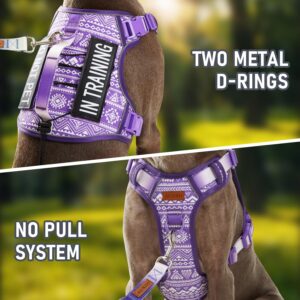 Service Dog Vest Harness with 2 Velcro Patches, No Pull Dog Harness for Walking Training Hiking, Metal D-Rings Easy on/Off Neck Buckle Reflective Strips Soft Padded Handle, Purple