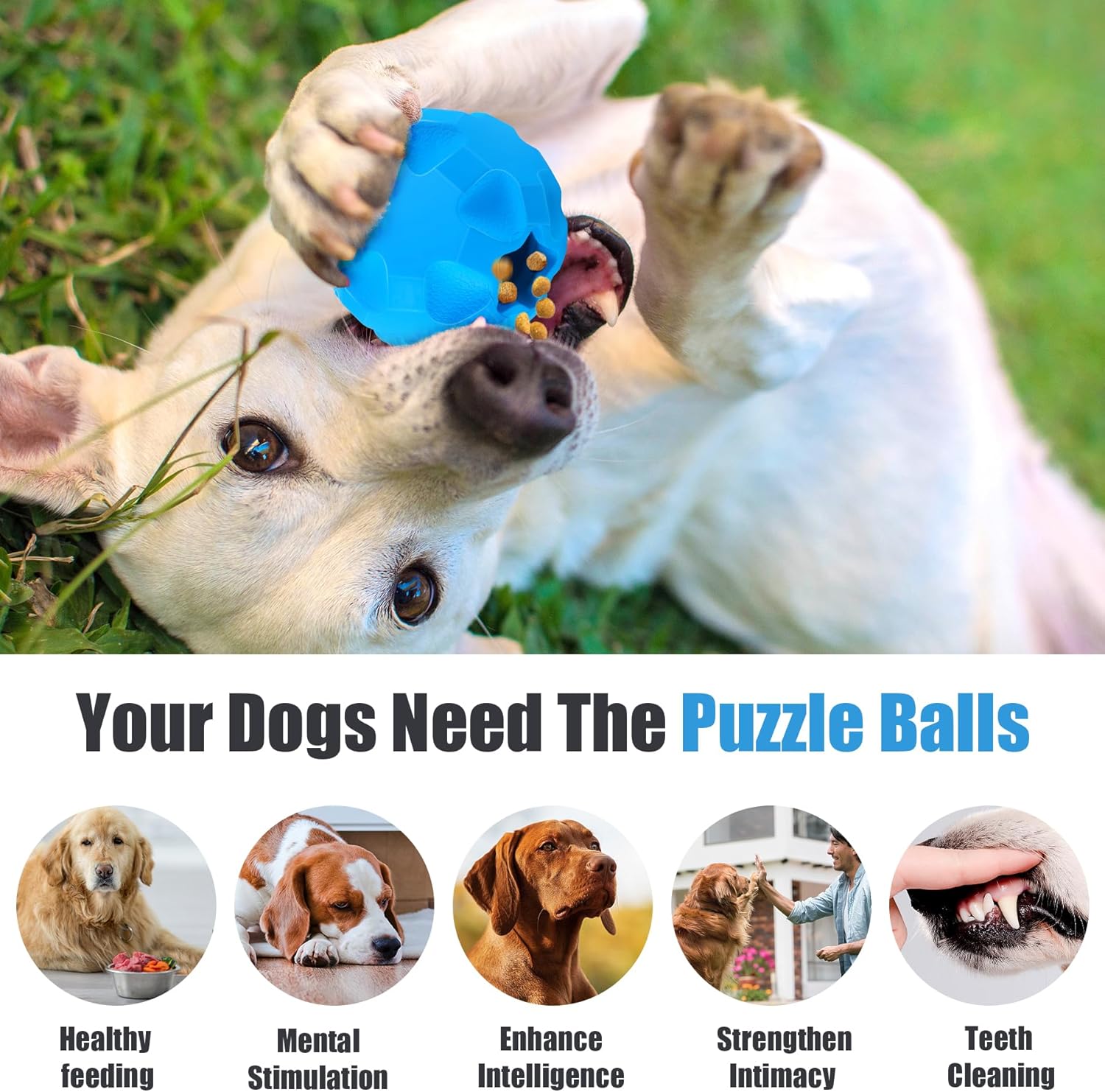 Interactive Dog Ball Treat Dispensing Dog Toys for Aggressive Chewers Large Breed, Rubber Balls for Dogs, Cognitive Dog Toys to Keep Them Busy, Dog Treat Toy Ball Dispenser - Image 5