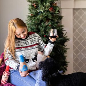 Pearhead Holiday Spirits Dog Toy Set, Spirits Themed Plush Dog Toys, Squeaky Dog Toys, Set of 3