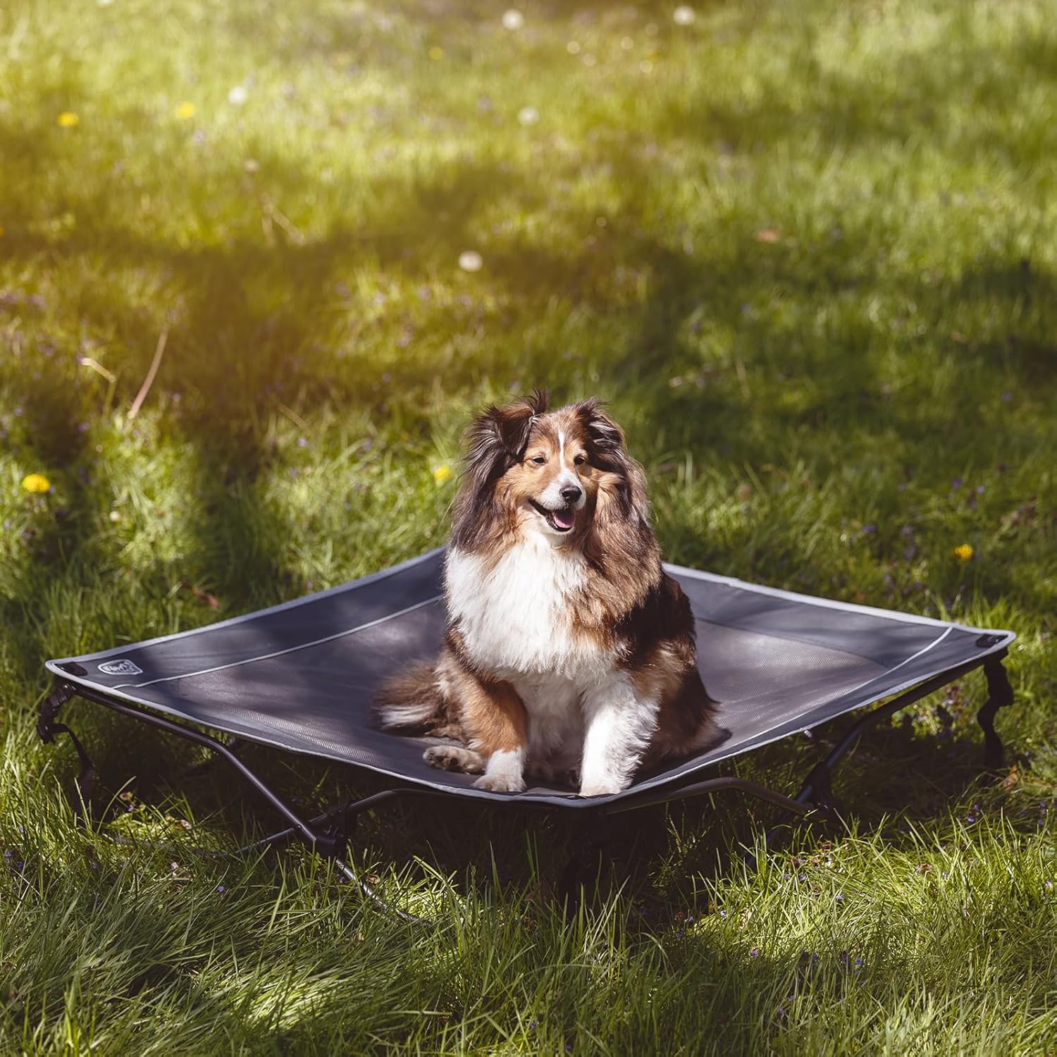 TIMBER RIDGE Outdoor Dog Bed, Cooling Elevated Dog Bed Portable Raised Dog Bed with Breathable Mesh, Dog Bed Foldable Dog Cot for Indoor & Outside, Grey - Image 2