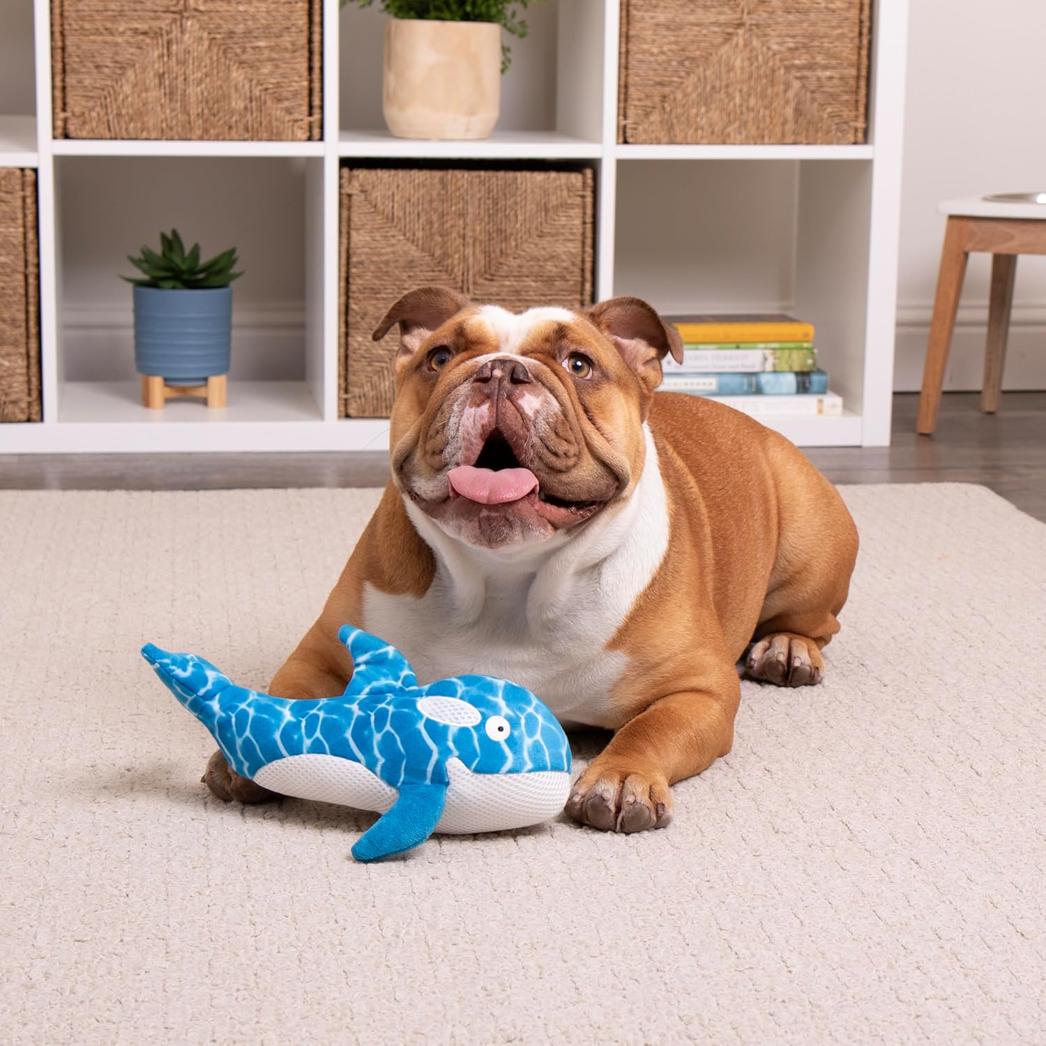 Strong 'N Silent Swimmer Soft Plush Orca Squeaker Chew Guard Dog Toy - Blue, Large - Image 2