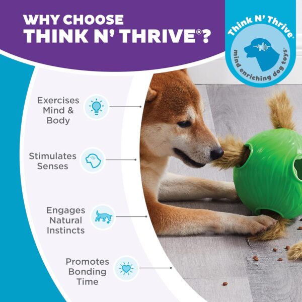 Outward Hound by Nina Ottosson Dog Snuffle N' Treat Ball Puzzle, Level 2 Intermediate, Green, Large - Image 6