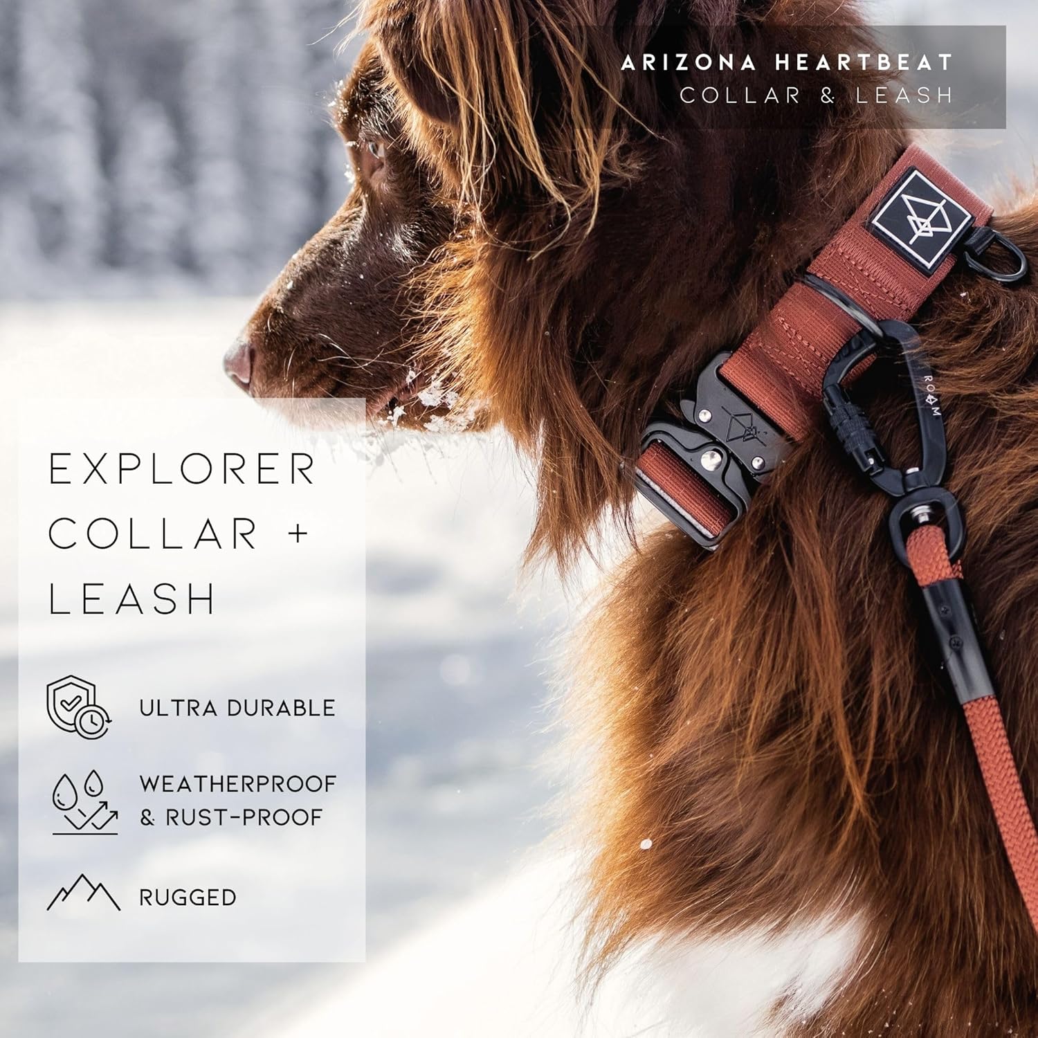 Made to ROAM Premium Dog Collar - Adjustable Heavy Duty Nylon Collar with Quick-Release Metal Buckle (Maine Marina, Classic Size 3) - Image 8