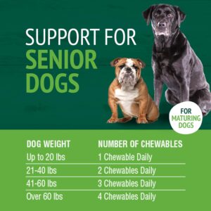 Petnc Natural Care Senior Multi Chewables (60 Count), Daily Dog Multivitamin & Multimineral Support, Includes Zinc, Magnesium, Iron & More, Supports Overall Health, For Mature Dogs, Liver Flavor