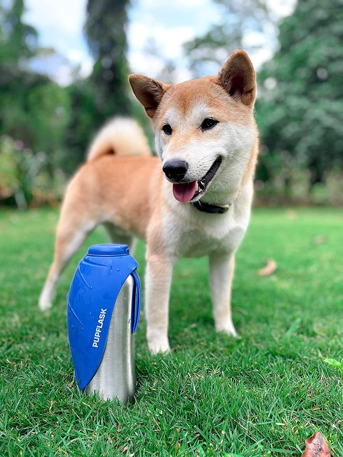 PupFlask Large Dog Water Bottle | 27 or 40 OZ Stainless Steel | Convenient Dog Drink Dispenser | Puppy Travel Water Bowl | Portable Pet Hydration Bottle | Leak Proof | Perfect Size for All Breeds - Image 8