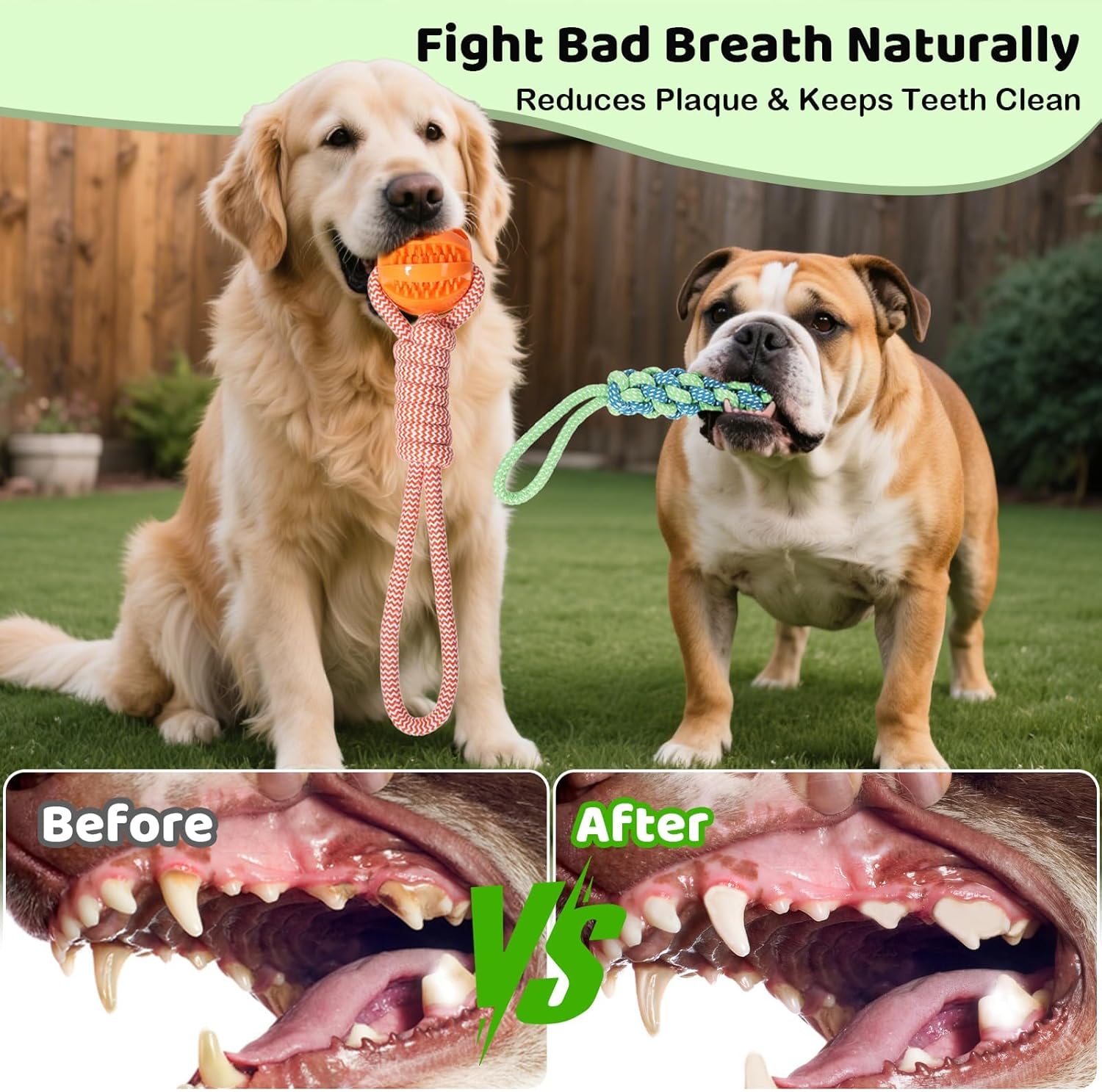 Bungee Tether Tug Outdoor Dog Toy for Dogs, Dog Tug of War Toy with Stake, 2 Puzzle Balls, Cotton Stick Toys, Outdoor Interactive Dog Toys for Lawns &Trees, Tug of War Dog Toy for Multi-Pet Households - Image 4