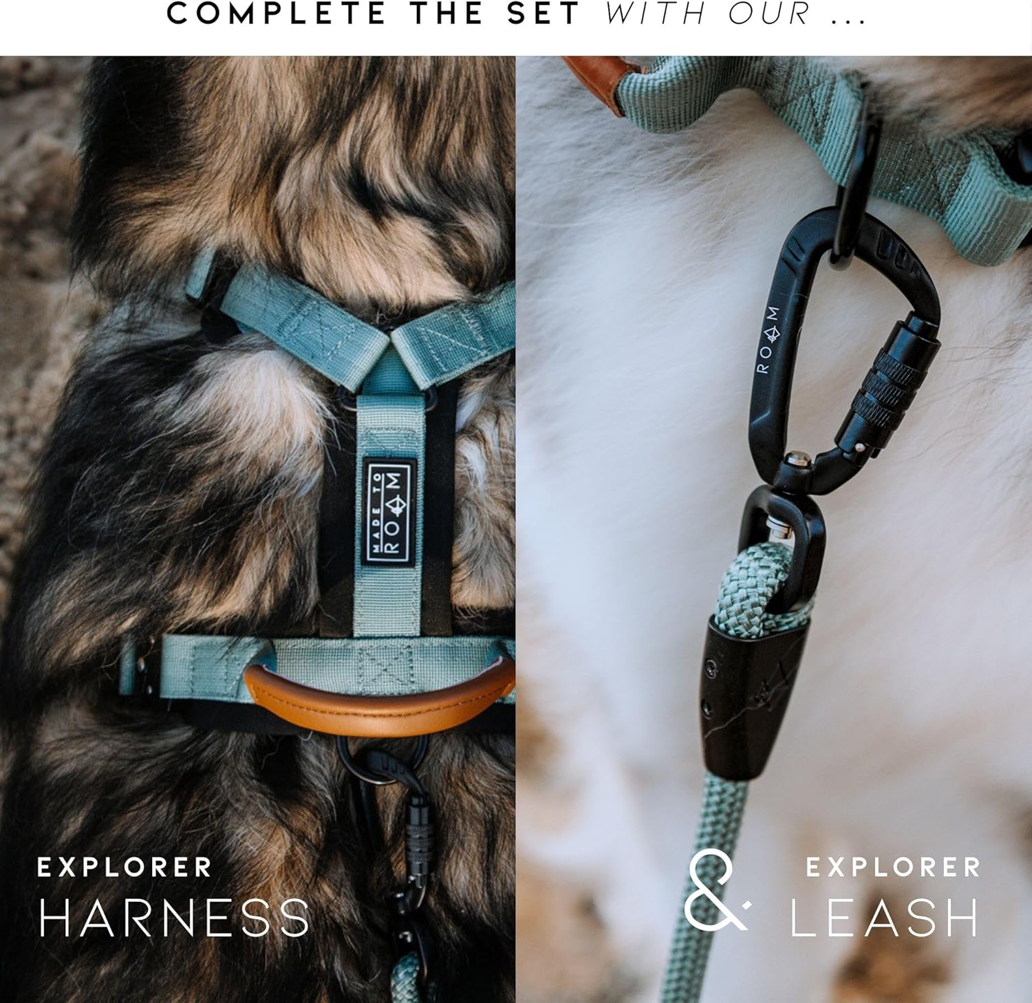 Made to ROAM Premium Dog Collar - Adjustable Heavy Duty Nylon Collar with Quick-Release Metal Buckle (Maine Marina, Classic Size 3) - Image 7