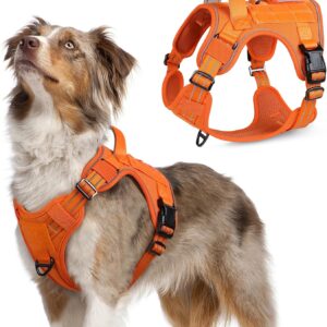 rabbitgoo Tactical Dog Harness Medium Sized Dog, No Pull Military Service Vest with Handle & Molle, Easy Control for Training Walking, Adjustable Reflective Straps, Orange, M