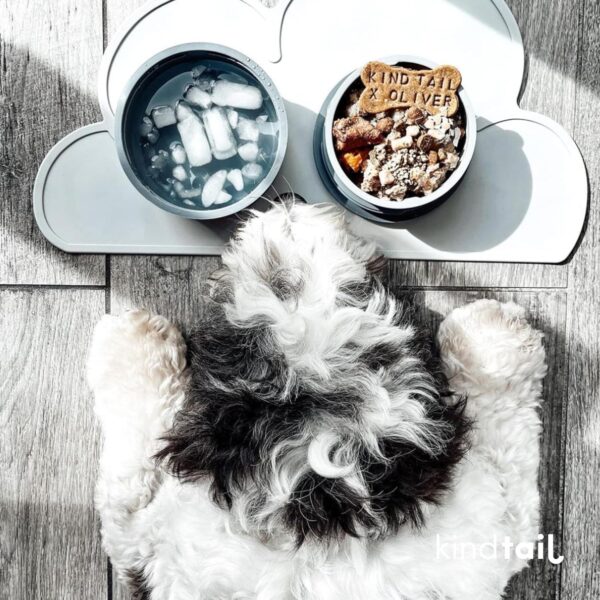 KindTail Portable Pet Feeder, Travel Dog Bowls with Lid and Handle, Microwave and Dishwasher-Safe, 10oz Inner Bowl & 20oz Outer Bowl, Grey - Image 8