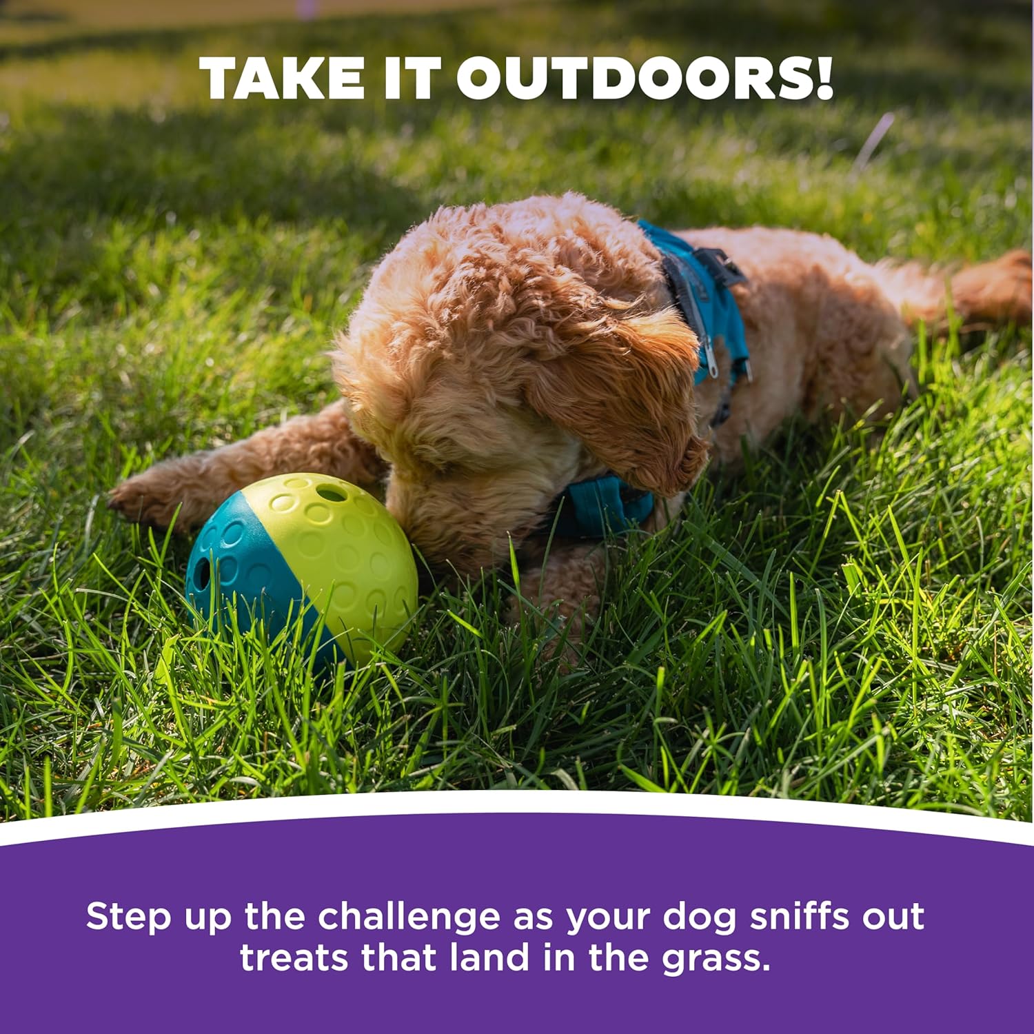 Outward Hound by Nina Ottosson Treat Tumble Interactive Puzzle Ball Dog Toy, Level 1 Beginner, Blue, Small (4.75" Diameter) - Image 5