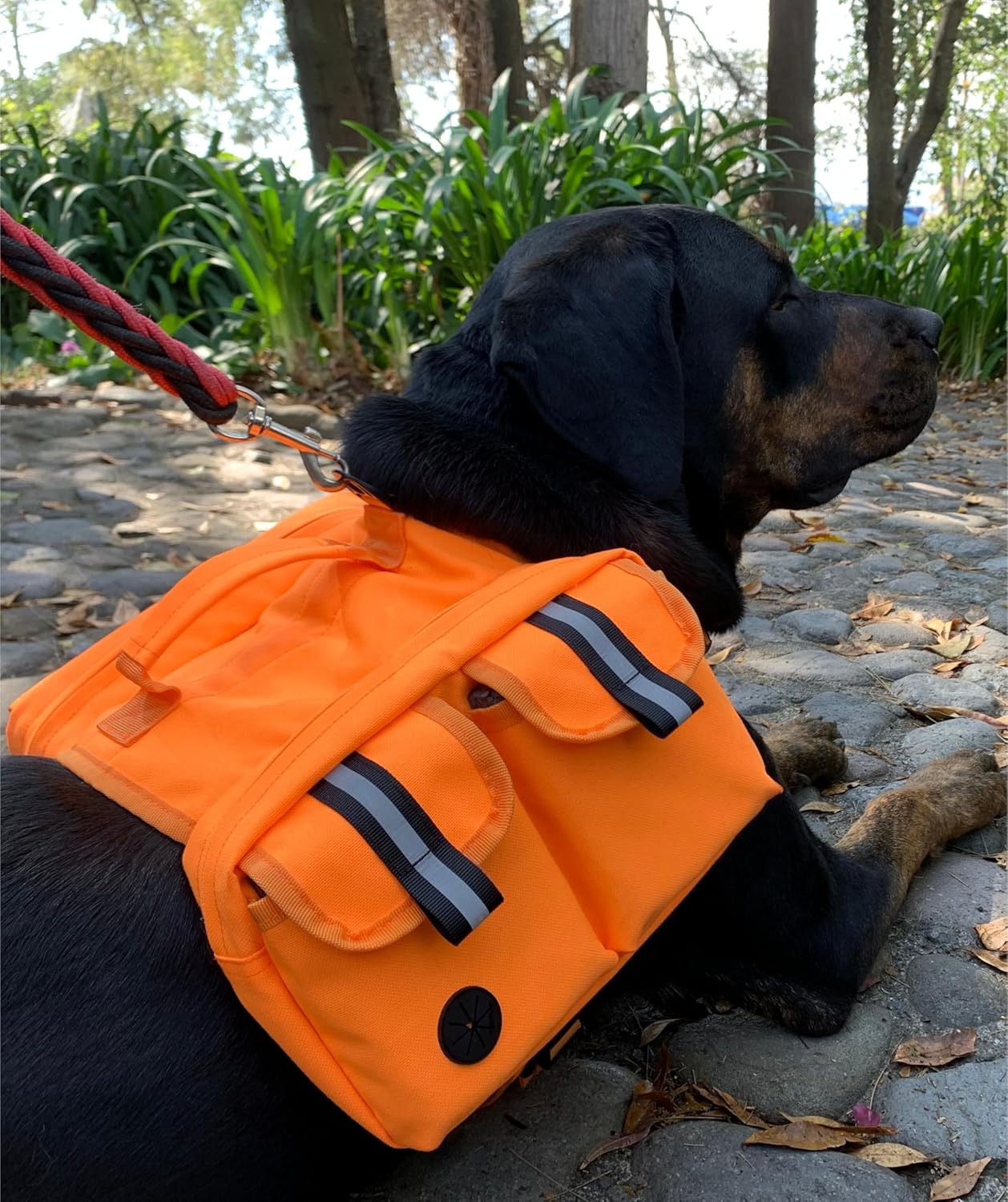 Dog Hiking Backpack Saddle Bag Small Dogs Adjustable Harness Reflective Straps Side Pockets Breathable Fabric Outdoor Walking Travel Lightweight Durable Design Ideal Pet Gear Adventure Use - Image 7