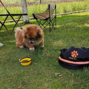 Dog Food Travel Bag – 84 Cups/26 lbs/20 Litre Capacity | Leak-Proof, Water-Resistant Dog Food Storage Container for Travel, Camping, RV & Outdoor | Collapsible, Easy-to-Clean Kibble Bag (Black)