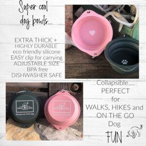 Lucky Love Dog Travel Dog Bowl, Collapsible Compact Water Dog Dish, Rose