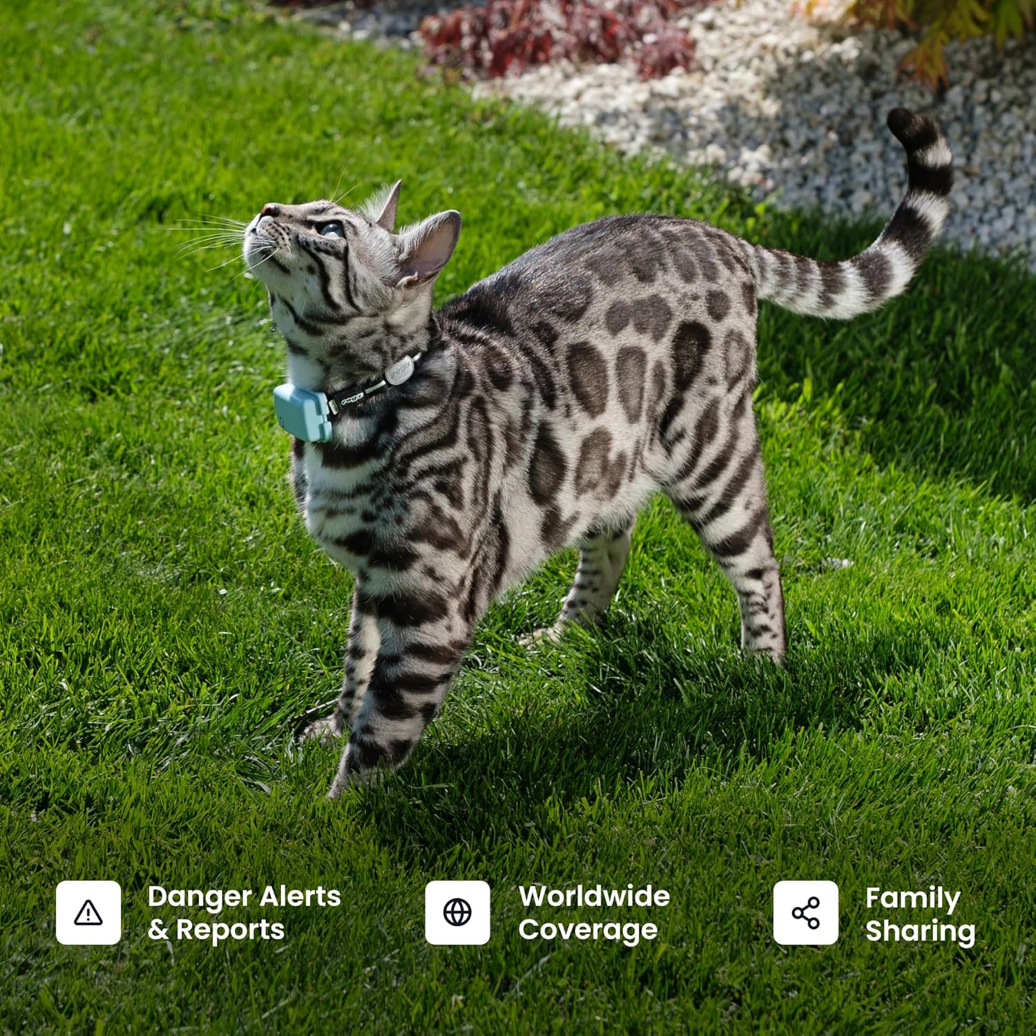 Tractive Smart Cat GPS Tracker | Real-Time Location & Wellness Monitoring for Cats 6.5 lbs+ | Territory & Location History | Up to 5-Day Battery | Breakaway Collar Included (Dark Blue) - Image 8