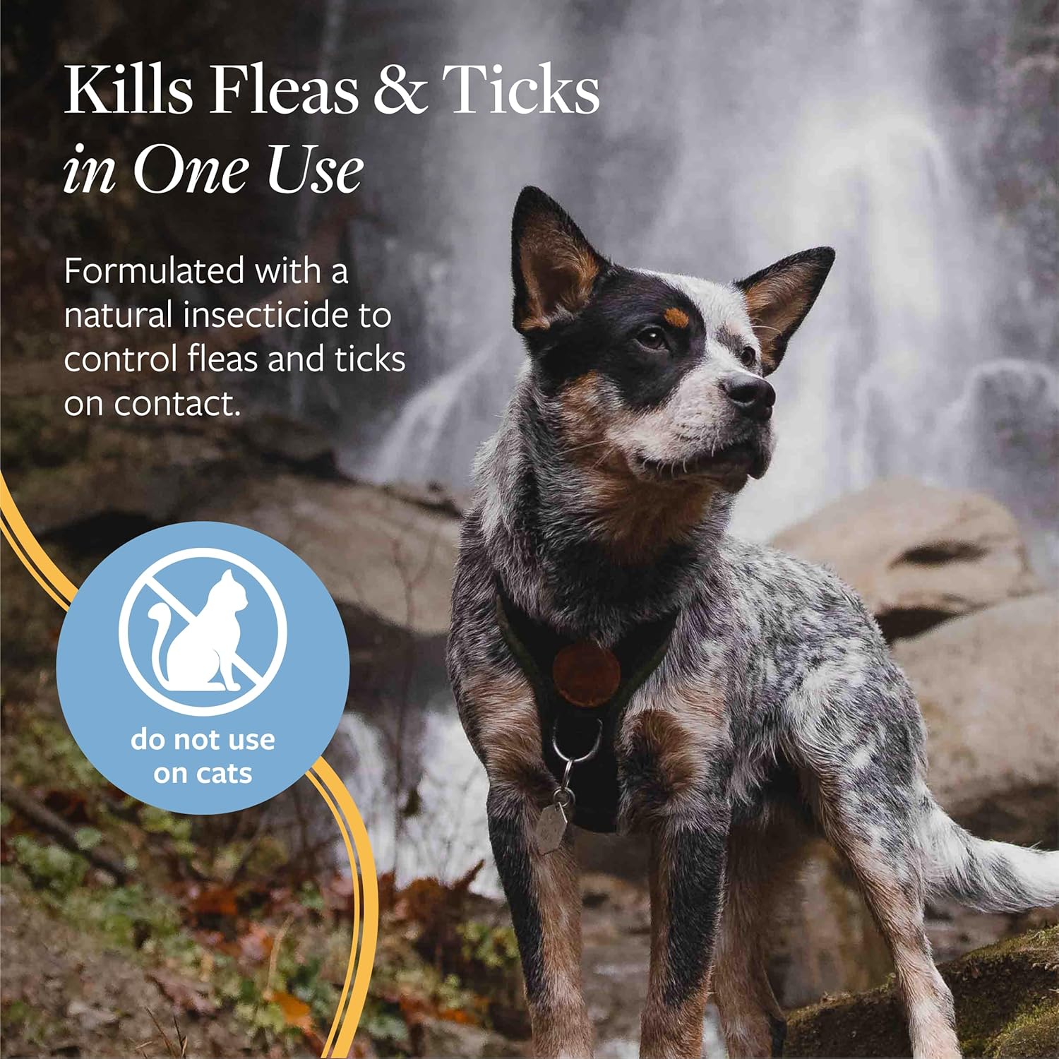 Veterinary Formula Flea and Tick Spray for Dogs, 8 oz – Easy-to-Use Dog Flea Spray, Kills on Contact, Prevents Egg & Larval Development for 14 weeks - Image 3