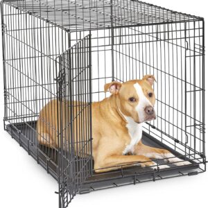 New World Single Door Folding Metal 36-Inch Dog Crate, Enhanced Security, Includes Leak-Proof Pan & Divider Panel, For Medium to Large Sized Breeds