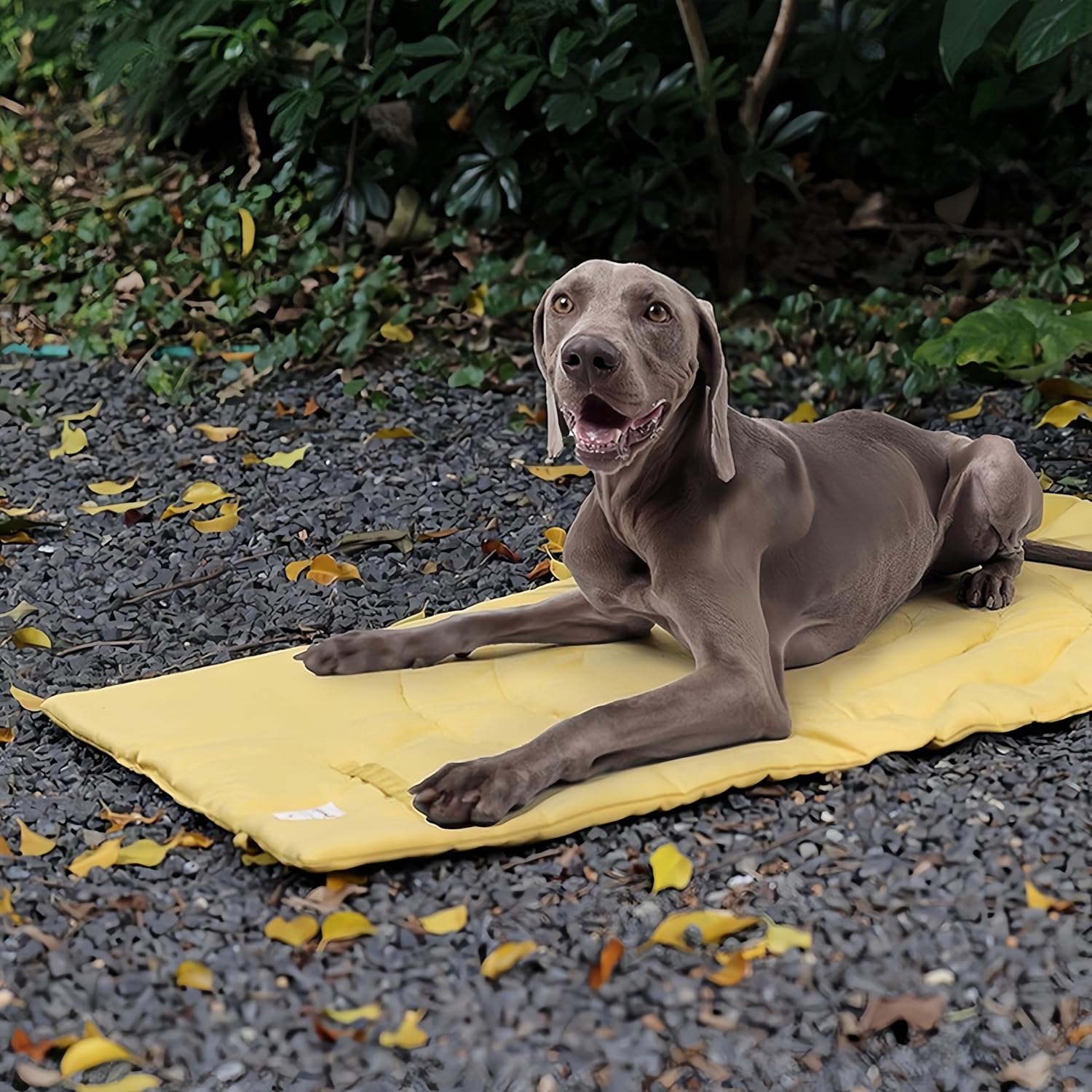 Foldable Waterproof Dog Mat | 37.4"x25.6" Portable Camping Travel Bed with Handle | All-Breed Training Pad, Machine Washable | Blocks Moisture, Easy Clean for Outdoor Adventures (Yellow) - Image 8