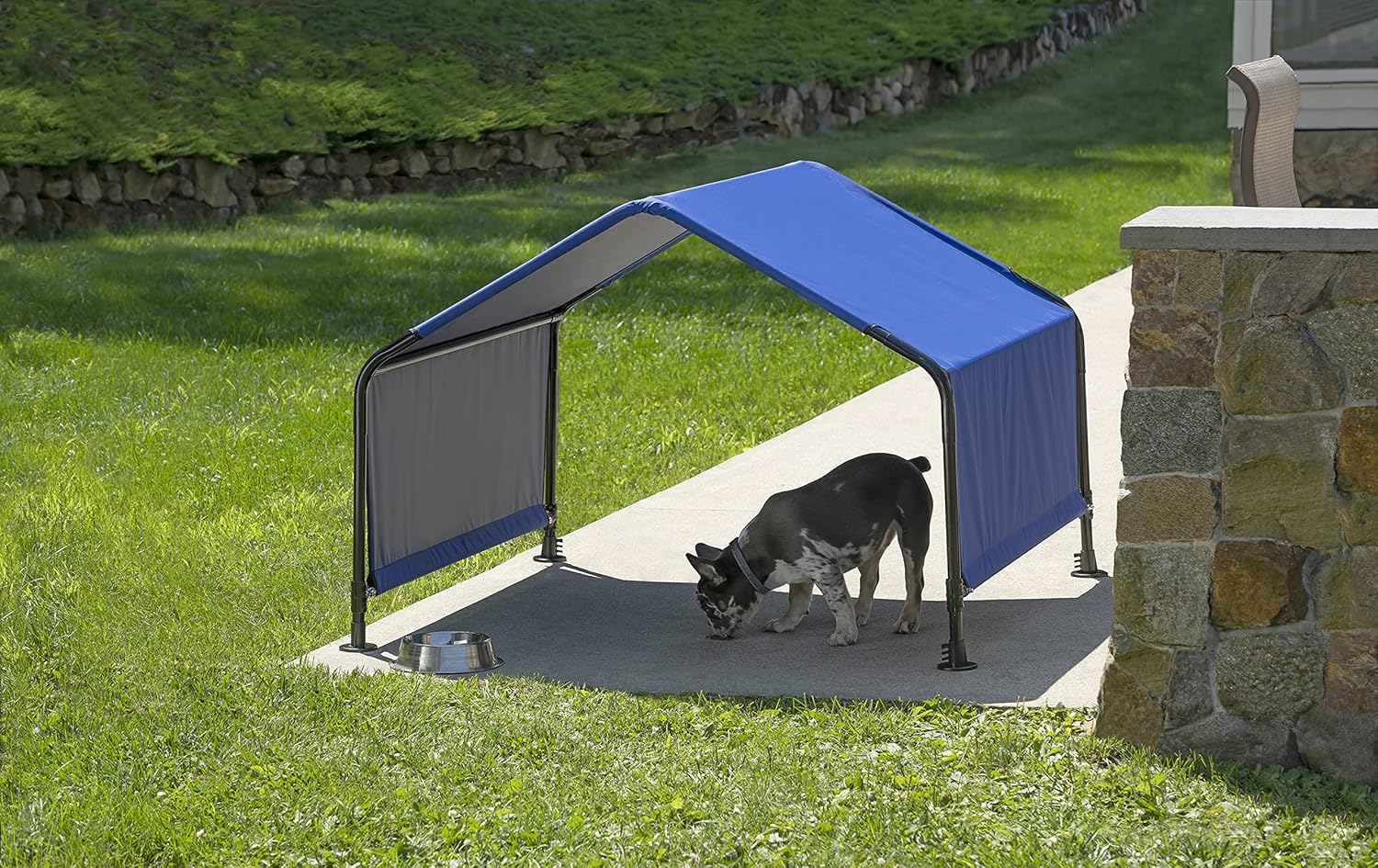 ShelterLogic 4' Outdoor Pet Shade, Versatile Pet Canopy Tent for Dogs, Cats, Small Animals and Livestock, Blue - Image 2