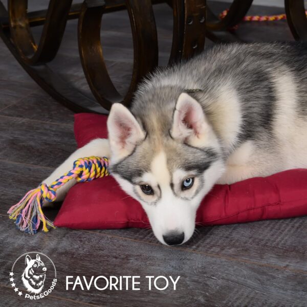 Pets&Goods Dog Chew Toys – 5-Pack Cotton Rope Tug & Teething Toy – Small/Medium Dog Chew Toy for Puppies & Adult Dogs – Interactive Tug of War Rope, Dental Cleaning, Boredom Buster – Multicolor - Image 8