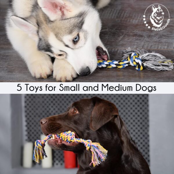 Pets&Goods Dog Chew Toys – 5-Pack Cotton Rope Tug & Teething Toy – Small/Medium Dog Chew Toy for Puppies & Adult Dogs – Interactive Tug of War Rope, Dental Cleaning, Boredom Buster – Multicolor - Image 4
