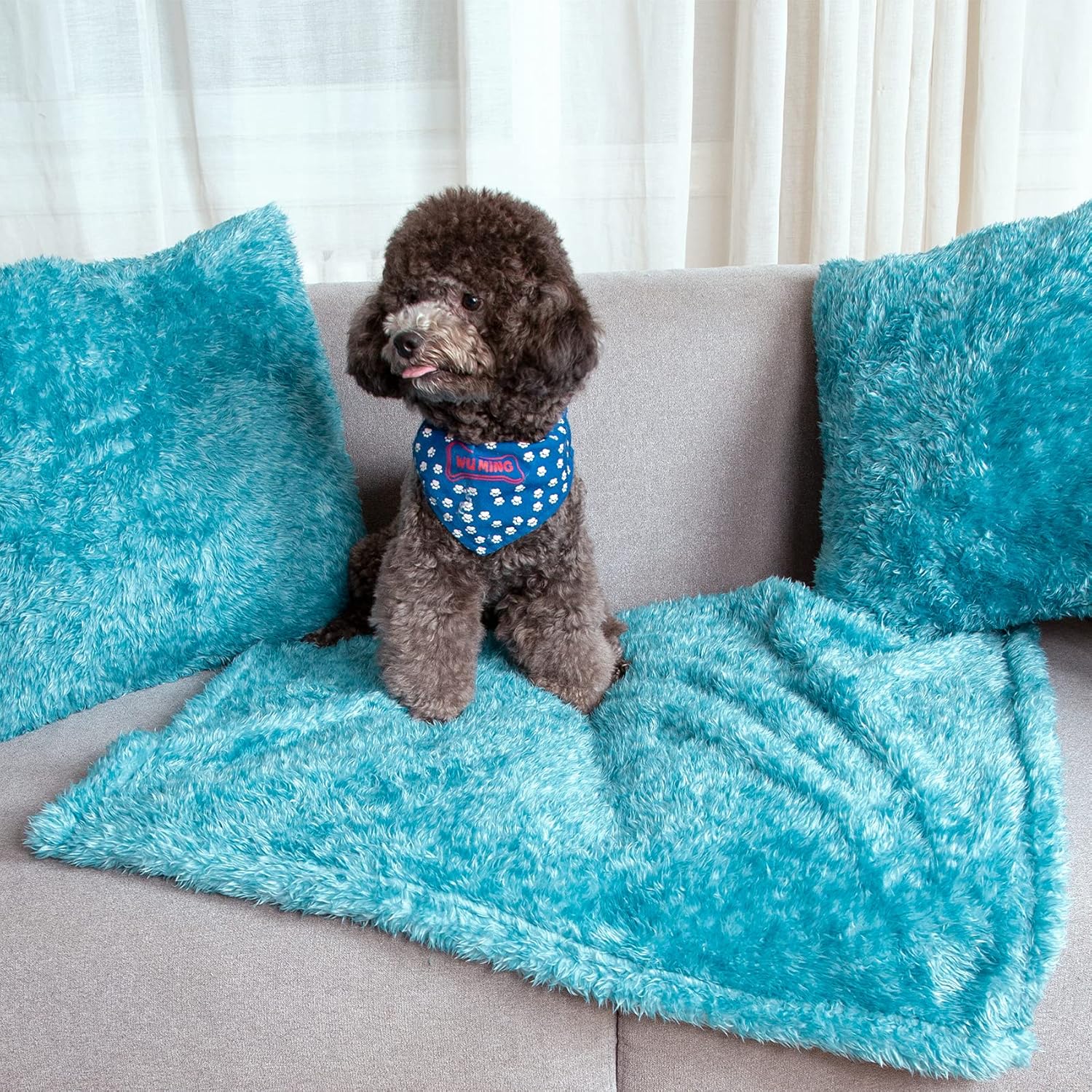 MACEVIA Fluffy Fleece Dog Blankets,Warm Soft Fuzzy Pets Blanket for Puppy,Small,Medium,Large Dogs and Cats,Plush Pet Throws for Bed,Couch,Sofa,Travel(24x29 Inch, Sea Blue) - Image 5
