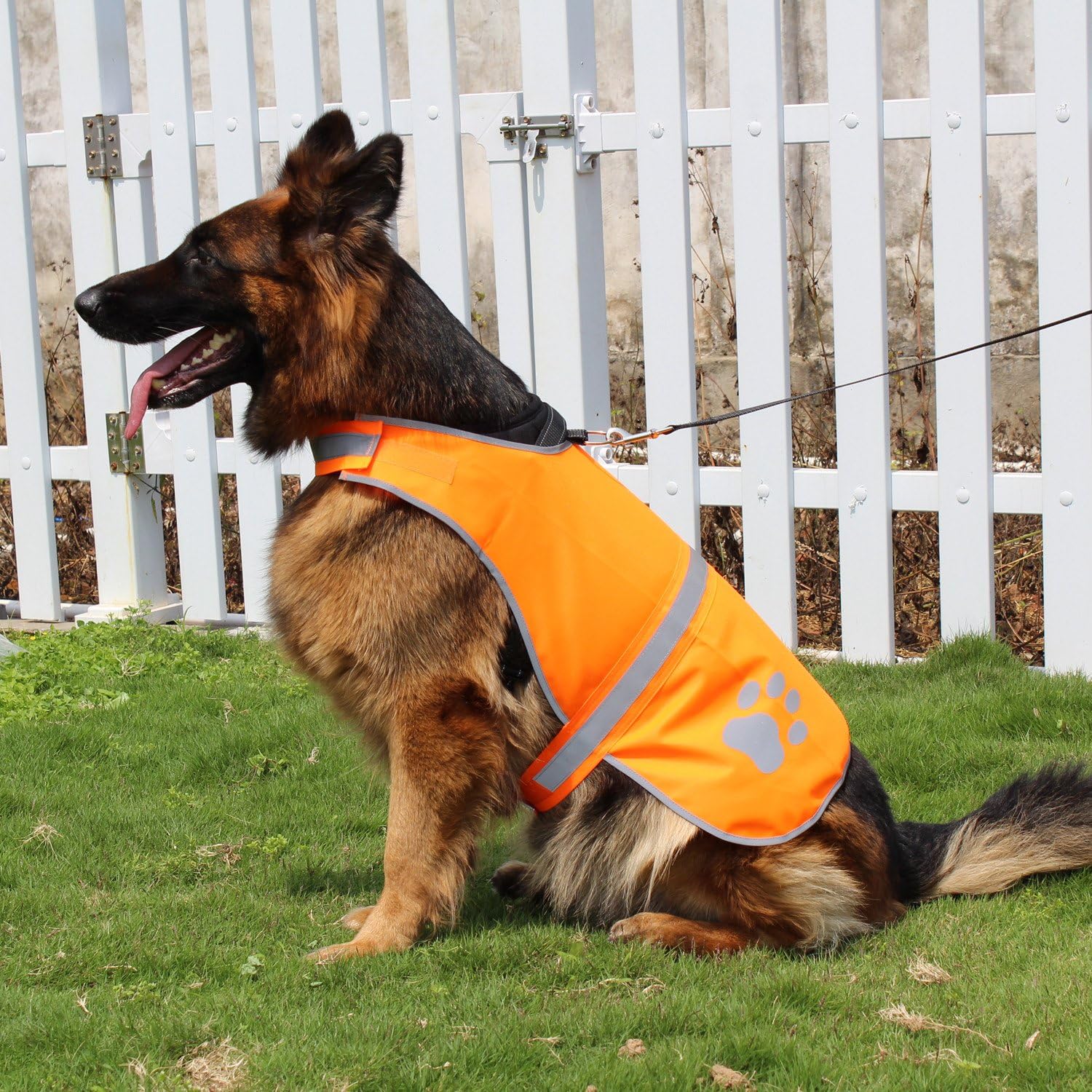 Dog Reflective Vest High Visibility Safety Jacket for Walking Running Hiking to Keep Dogs Visible Safe from Cars and Hunting Accidents Orange XL - Image 6