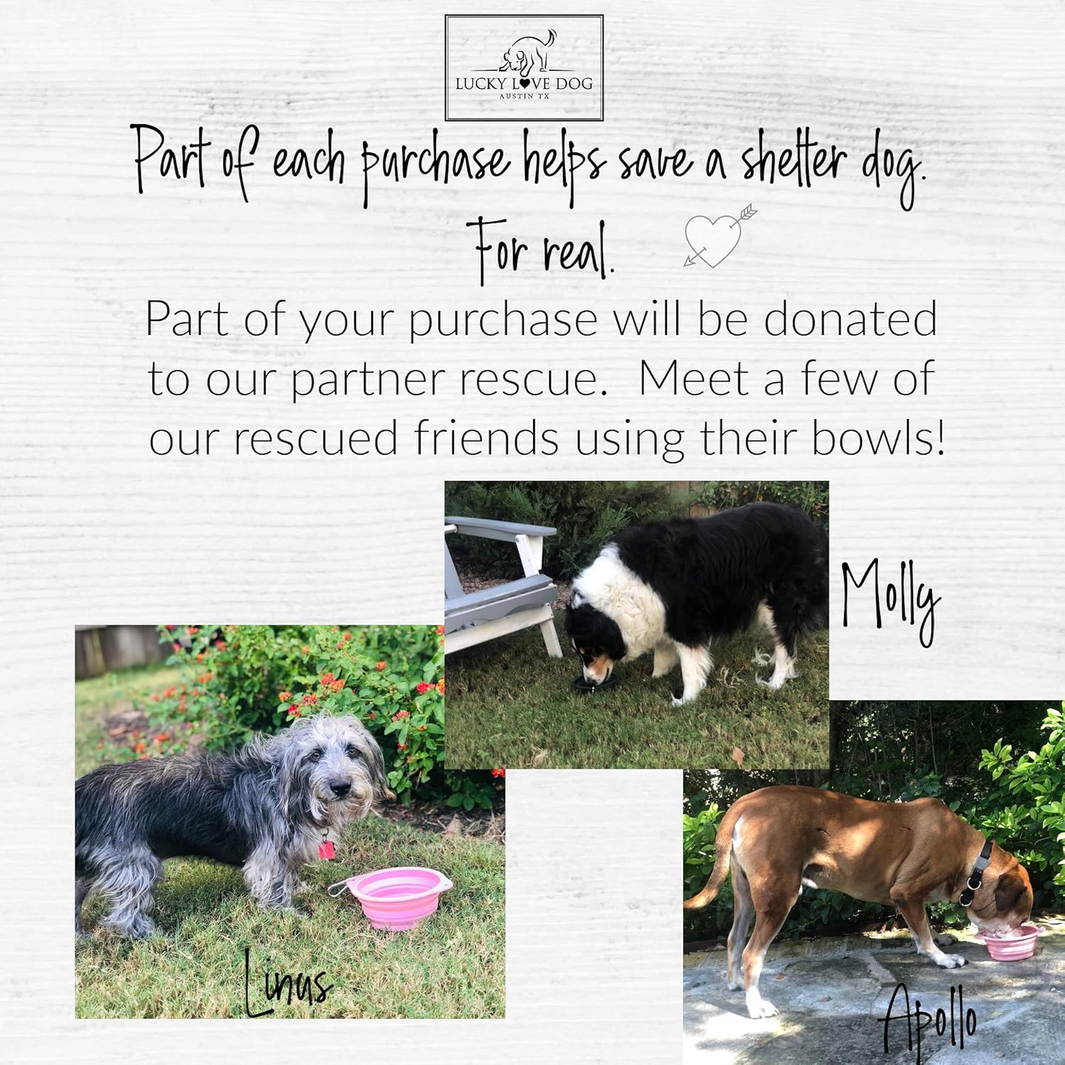 Lucky Love Dog Travel Dog Bowl, Collapsible Compact Water Dog Dish, Rose - Image 5