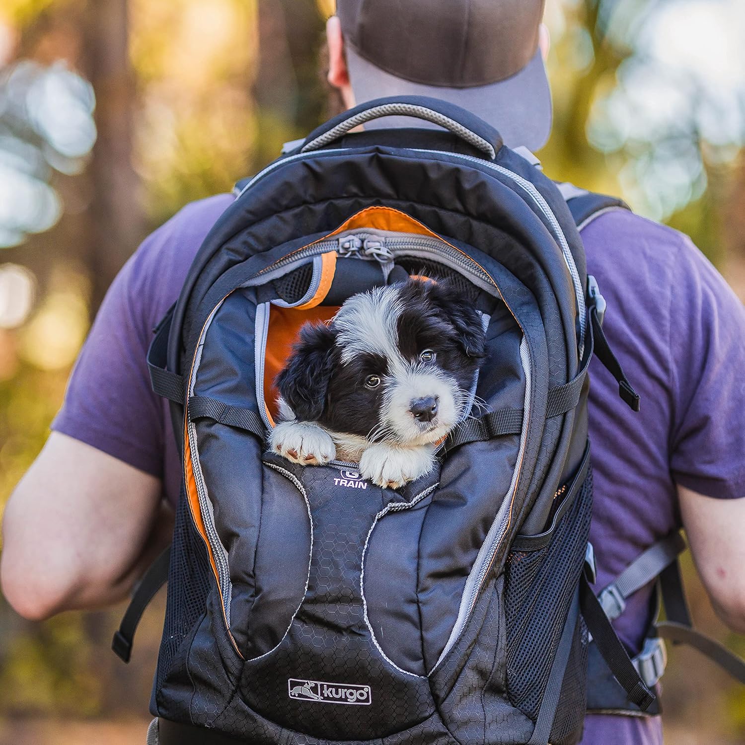Kurgo G-Train Dog Carrier Backpack for Small Pets Up to 25 Lbs, TSA & Airline Approved, Navy Blue - Image 2