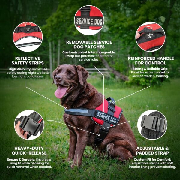 Heavy Duty Emotional Support Dog Vest Harness with Reflective Straps, Interchangeable Patches & Top Handle - ESA Dog Vest in 8 Sizes, Durable Service Harness for Working and Support Dogs - Image 2