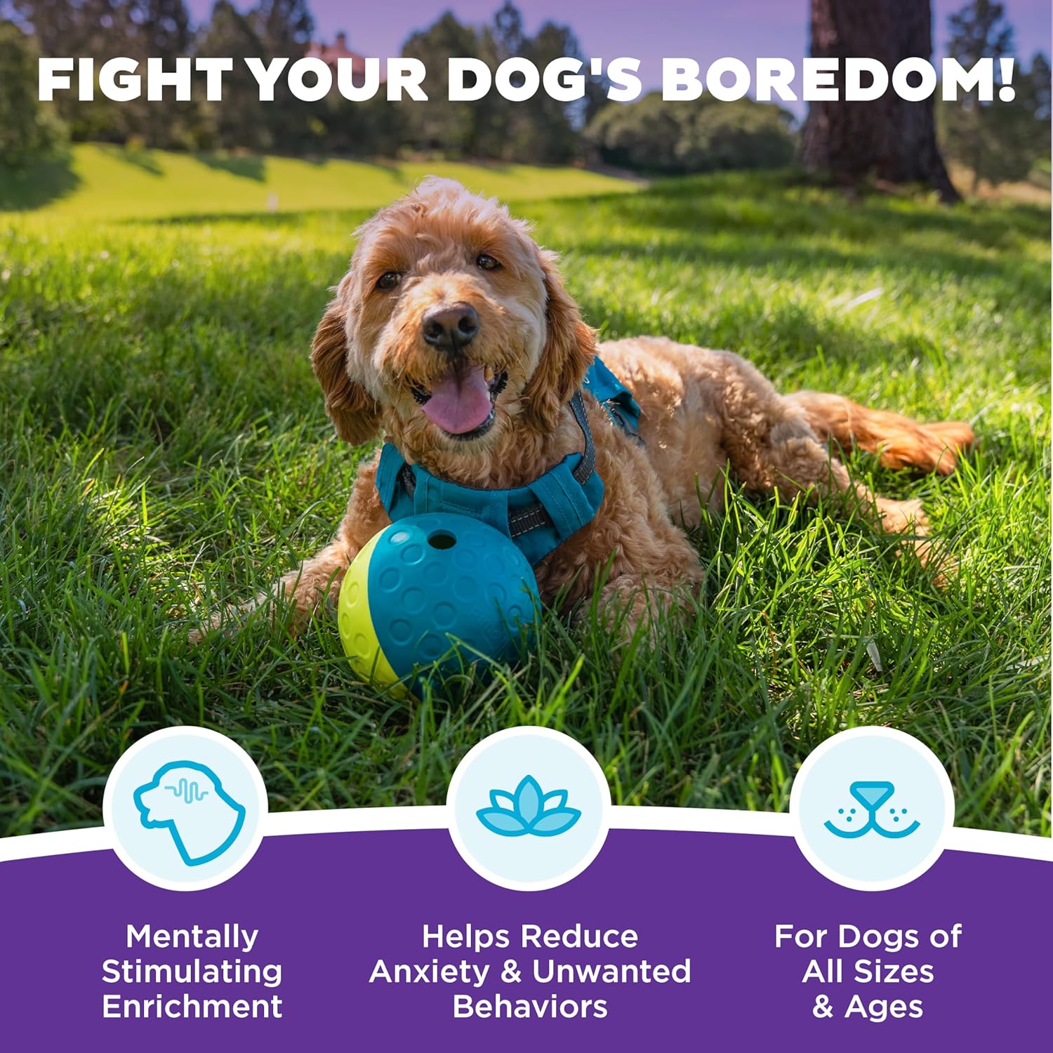 Outward Hound by Nina Ottosson Treat Tumble Interactive Puzzle Ball Dog Toy, Level 1 Beginner, Blue, Small (4.75" Diameter) - Image 3