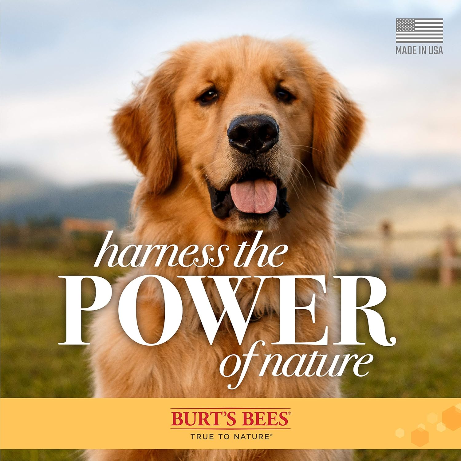 Burt's Bees for Pets Multipurpose Dog Wipes with with Honey, 98% Natural Origin Formulas, Hypoallergenic Dog Wipes Cleaning, Dog Cleaning Wipes, Dog Wipes for Paws and Butt, 50ct - Image 6