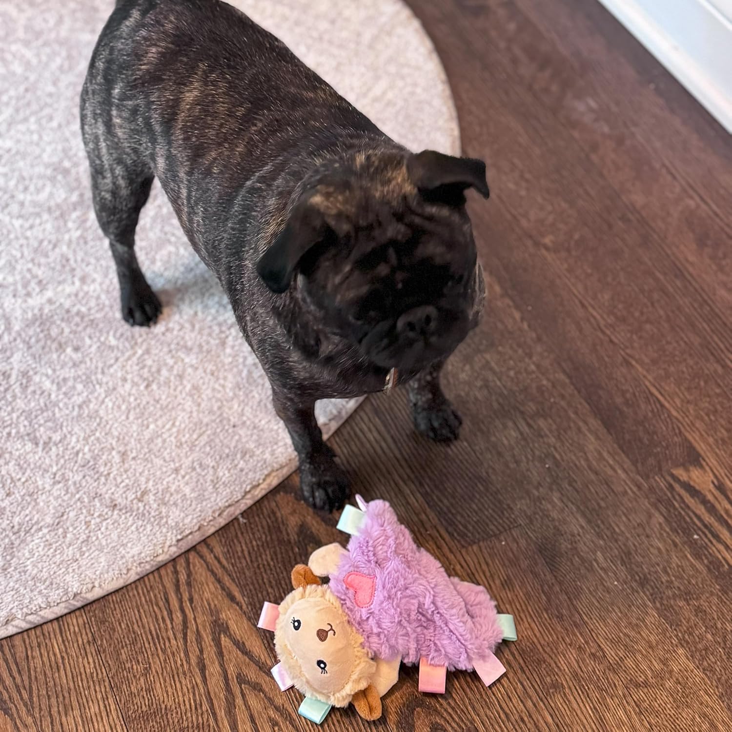 SPOT Soothers- Tabbie Lambie Dog Toy-Separation Anxiety Toys for Dogs, Stuffing Free, Scented with Calming Lavender Fragrance Beads to Safely Calm and Relax Dogs and Puppies, 8in - Image 8