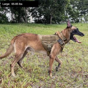 ICEFANG Tactical Dog Harness,Large Size, 2X Metal Buckle,Working Dog MOLLE Vest with Handle,No Pulling Front Leash Clip,Hook and Loop Panel