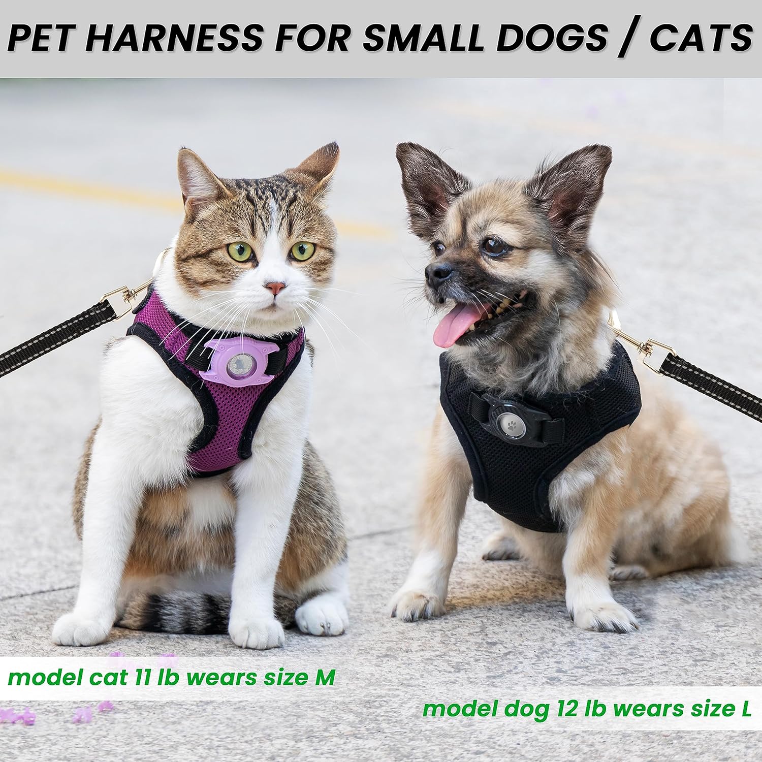 Dog Harness with Airtag Holder for Small Dogs, Puppy, Cats - No Pull Step in Small Dog Harness and Reflective Dog Leash Set for Walking Training Travel Grooming Outdoor - Image 4
